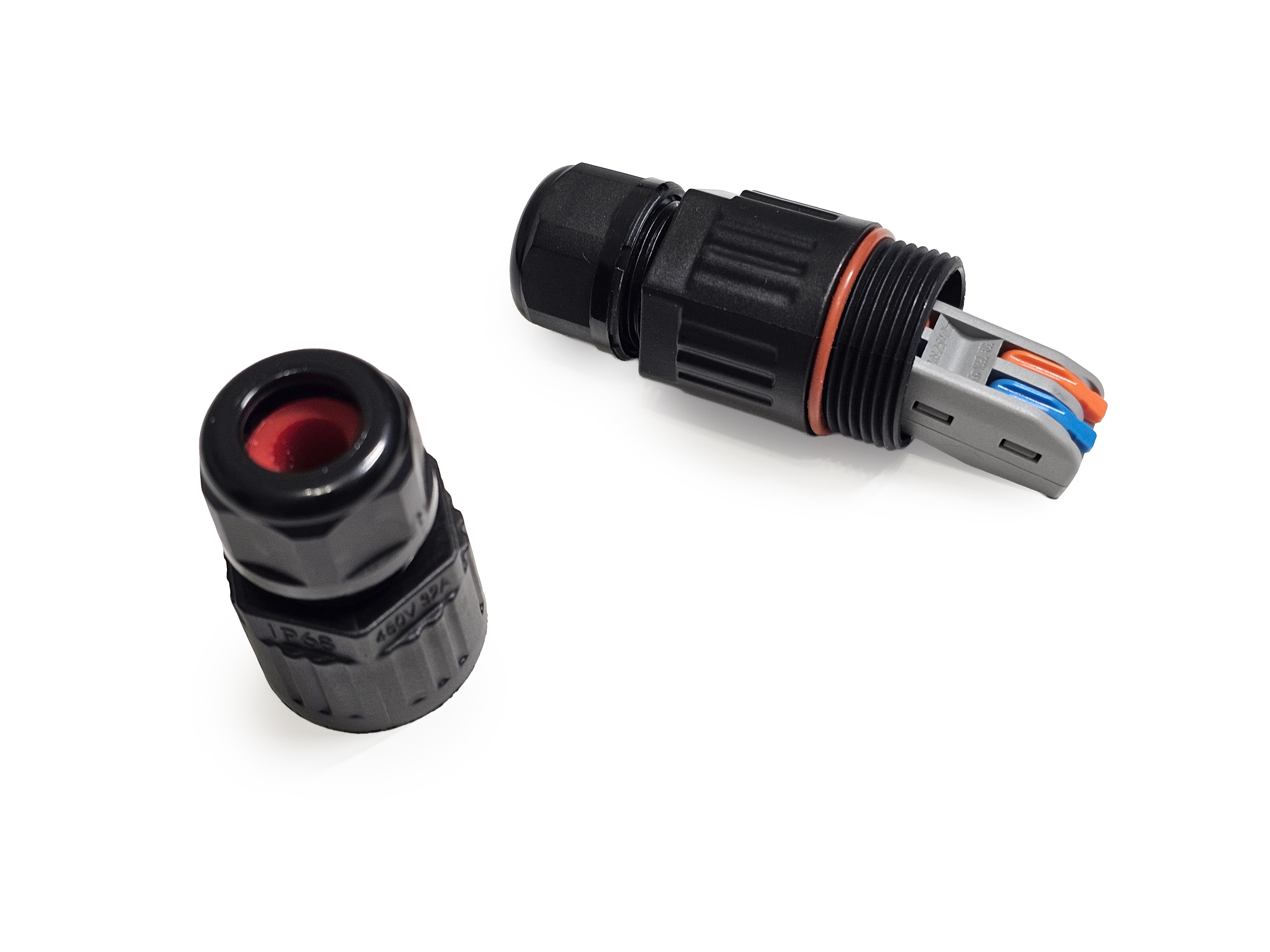 20260429_020333.jpg